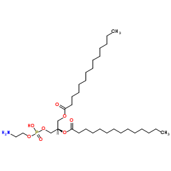 1,2-二肉豆蔻酰-sn-丙三基-3-磷脂酰乙醇胺结构式