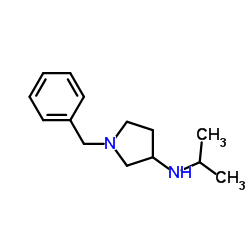 1-Benzyl-N-isopropyl-3-pyrrolidinamine Structure