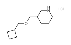 Cyclobutylmethyl 3-piperidinylmethyl ether hydrochloride Structure