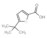 5-叔丁基噻吩-2-羧酸结构式