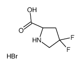 4,4-Difluoro-L-proline hydrobromide (1:1) Structure