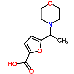 5-[1-(4-Morpholinyl)ethyl]-2-furoic acid Structure