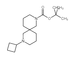 8-环丁基-2,8-二氮杂螺[4.5]癸烷-2-羧酸 1,1-二甲基乙酯结构式