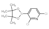 2,6-二氯-3-(4,4,5,5-四甲基-1,3,2-二氧杂硼烷-2-基)吡啶结构式
