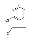 3-chloro-4-(1-chloro-2-methylpropan-2-yl)pyridazine结构式
