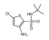 3-氨基-n-叔丁基-5-氯噻吩-2-磺酰胺结构式