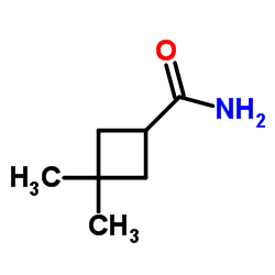 3,3-Dimethylcyclobutanecarboxamide Structure