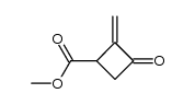 Cyclobutanecarboxylic acid, 2-methylene-3-oxo-, methyl ester (9CI) Structure