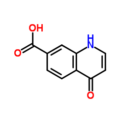 4-羟基-7-喹啉羧酸结构式