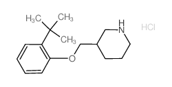 2-(tert-Butyl)phenyl 3-piperidinylmethyl ether hydrochloride结构式