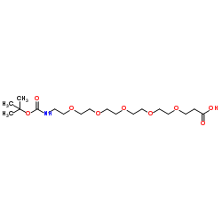 N-叔丁氧羰基-五聚乙二醇-羧酸图片