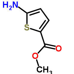 5-氨基-噻吩-2-甲酸甲酯图片