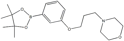 4-(3-(3-(4,4,5,5-四甲基-1,3,2-二噁硼戊环-2-基)苯氧基)丙基)吗啉结构式