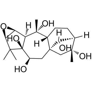 Rhodojaponin III Structure