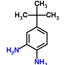 4-tert-Butyl-1,2-diaminobenzene Structure