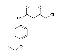 4-chloro-N-(4-ethoxyphenyl)-3-oxobutanamide Structure