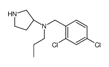 (3S)-N-[(2,4-dichlorophenyl)methyl]-N-propylpyrrolidin-3-amine结构式