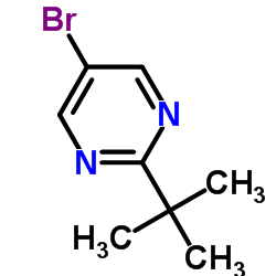 5-溴-2-叔丁基嘧啶结构式