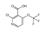 2-chloro-4-(trifluoromethoxy)nicotinic acid Structure