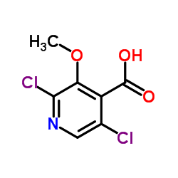 2,5-Dichloro-3-methoxyisonicotinic acid Structure