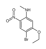 4-bromo-5-ethoxy-N-methyl-2-nitroaniline Structure