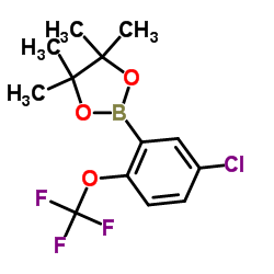 2-(5-氯-2-(三氟甲氧基)苯基)-4,4,5,5-四甲基-1,3,2-二氧硼杂环戊烷结构式
