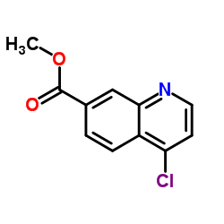 4-氯喹啉-7-甲基羧酸盐结构式