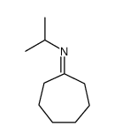 N-cycloheptylidenepropan-2-amine结构式