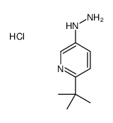 Pyridine,2-(1,1-dimethylethyl)-5-hydrazinyl-,hydrochloride (1:1) Structure