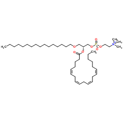Arachidonoyl PAF C-16结构式