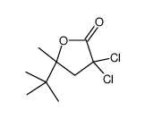 5-tert-butyl-3,3-dichloro-5-methyloxolan-2-one Structure