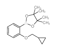 2-Cyclopropylmethoxyphenylboronic acid pinacol ester Structure