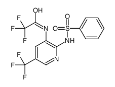 N-[2-(benzenesulfonamido)-5-(trifluoromethyl)pyridin-3-yl]-2,2,2-trifluoroacetamide结构式