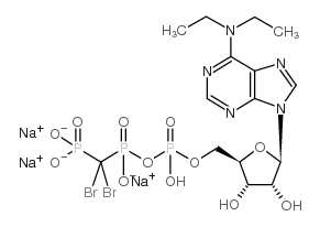 6-N,N-二乙基-Β-Γ-二溴亚甲基-D-腺苷E-5'-三磷酸钠水合物图片