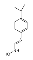 N'-(4-tert-butylphenyl)-N-hydroxymethanimidamide Structure