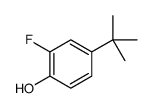 Phenol,4-(1,1-dimethylethyl)-2-fluoro-结构式