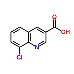 8-Chloro-3-quinolinecarboxylic acid Structure