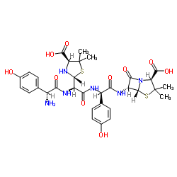 Amoxicillin dimer structure