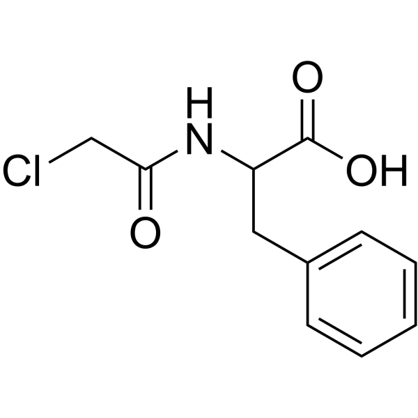 N-氯乙酰基-DL-苯丙氨酸图片