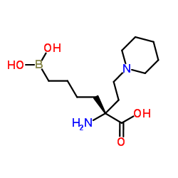 精氨酸酶结构式