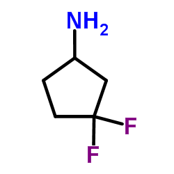 3,3-二氟环戊胺图片