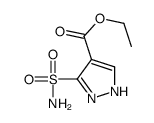 ethyl 5-sulfamoyl-1H-pyrazole-4-carboxylate Structure