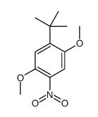 1-tert-butyl-2,5-dimethoxy-4-nitrobenzene结构式