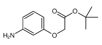2-(3-氨基苯氧基)乙酸叔丁酯结构式