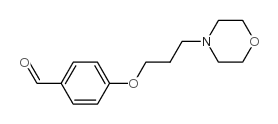 4-(3-吗啉-4-丙氧基)-苯甲醛结构式