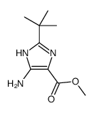 5-氨基-2-(1,1-二甲基乙基)-1H-咪唑-4-羧酸甲酯结构式