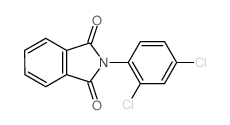 1H-Isoindole-1,3(2H)-dione,2-(2,4-dichlorophenyl)-结构式