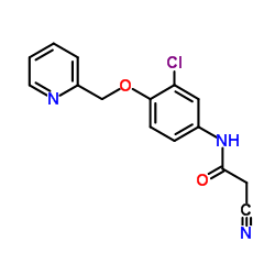 N-(3-氯-4-(吡啶-2甲氧基)苯基)-氰基乙酰胺结构式