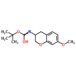 2-Methyl-2-propanyl hydrogen (7-methoxy-3,4-dihydro-2H-chromen-3-yl)carbonimidate结构式