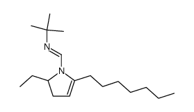 (E)-N-tert-butyl-1-(2-ethyl-5-heptyl-2,3-dihydro-1H-pyrrol-1-yl)methanimine结构式